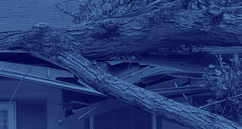 Roof Insurance Claims